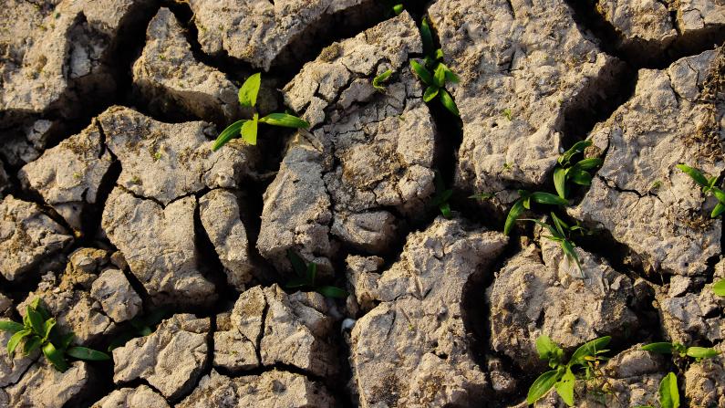 Environmental Peacebuilding
